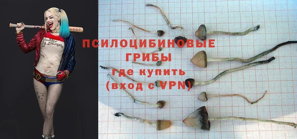 гидропоника Беломорск