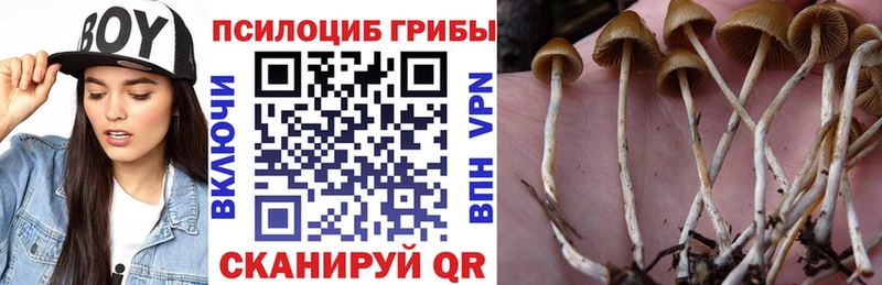 Псилоцибиновые грибы MAGIC MUSHROOMS Саяногорск